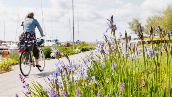 Regionernas integrerade hållbarhetsperspektiv. Cyklist och blommor vid en hamn