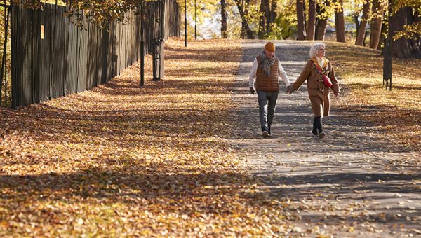 Par hand i hand promenerar bland höstlöv