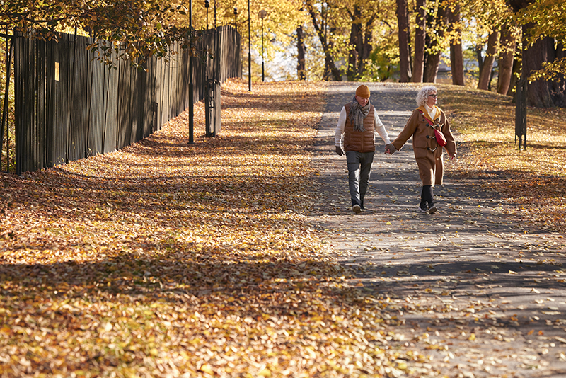 Par hand i hand promenerar bland höstlöv